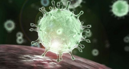 7 главных вопросов про коронавирус!