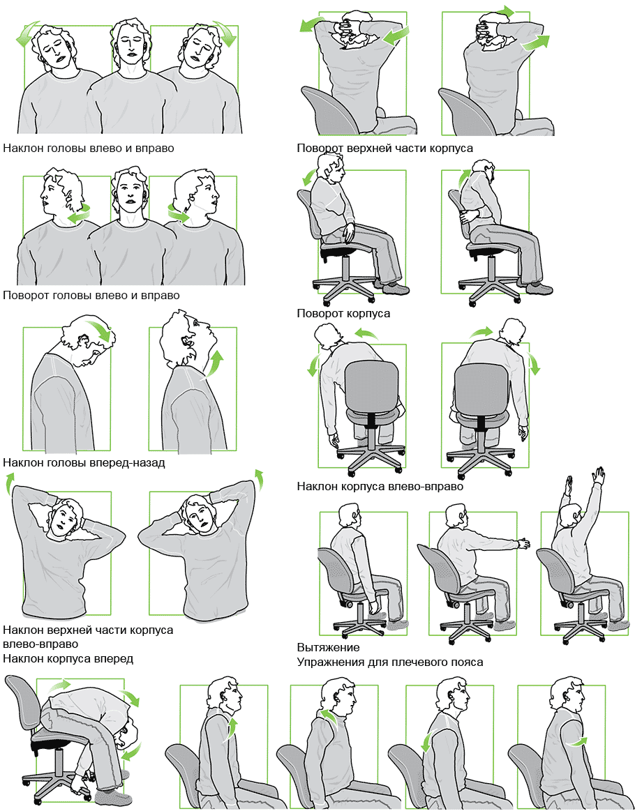 Работа упражнения. Гимнастика для шеи при работе за компьютером. Гимнастика для шеи при сидячей работе за компьютером. Зарядка на рабочем месте для позвоночника. Упражнения для спины при сидячей работе.
