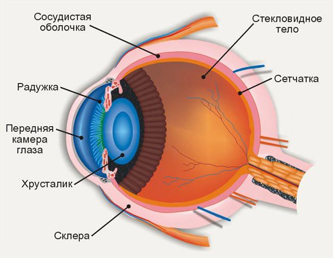 Лечение глазных болезней у хирурга
