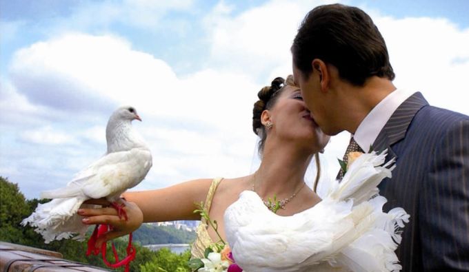 Профессиональный фотограф на свадьбе - роскошь или необходимость?