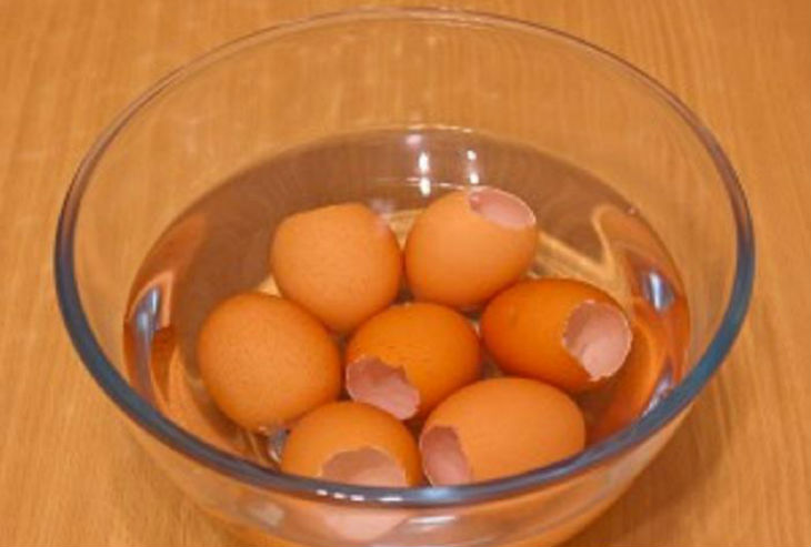 форма для заливных яиц